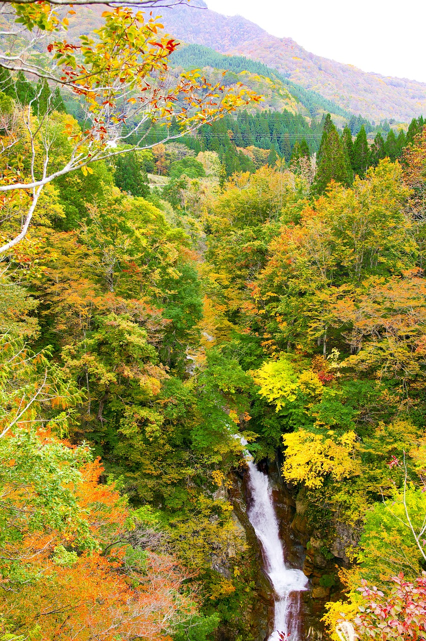 découvrez l'inconnu avec 'unexplored', une aventure fascinante qui vous plonge dans des mondes inexplorés. préparez-vous à vivre des expériences uniques et à découvrir des mystères captivants qui défient votre imagination.