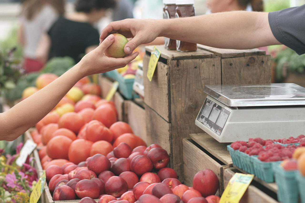 découvrez les informations et services essentiels de votre local : actualités, événements, commerces de proximité et initiatives près de chez vous pour rester connecté à votre communauté.