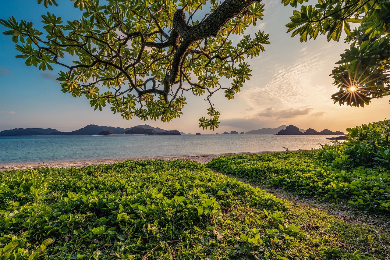 découvrez la beauté et la diversité de la nature : paysages époustouflants, faune et flore exceptionnelles, conseils pour explorer et préserver l’environnement naturel.