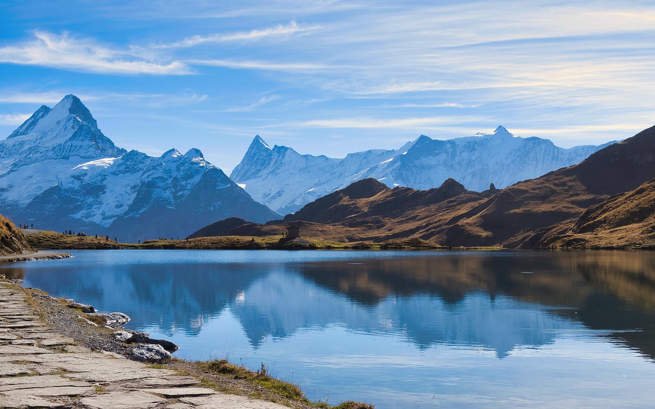 explorez la beauté et la diversité de la nature : flore, faune, paysages magnifiques et conseils pour profiter du plein air et préserver notre environnement.
