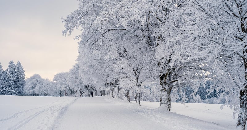 Munich vacances : 10 expériences à vivre absolument