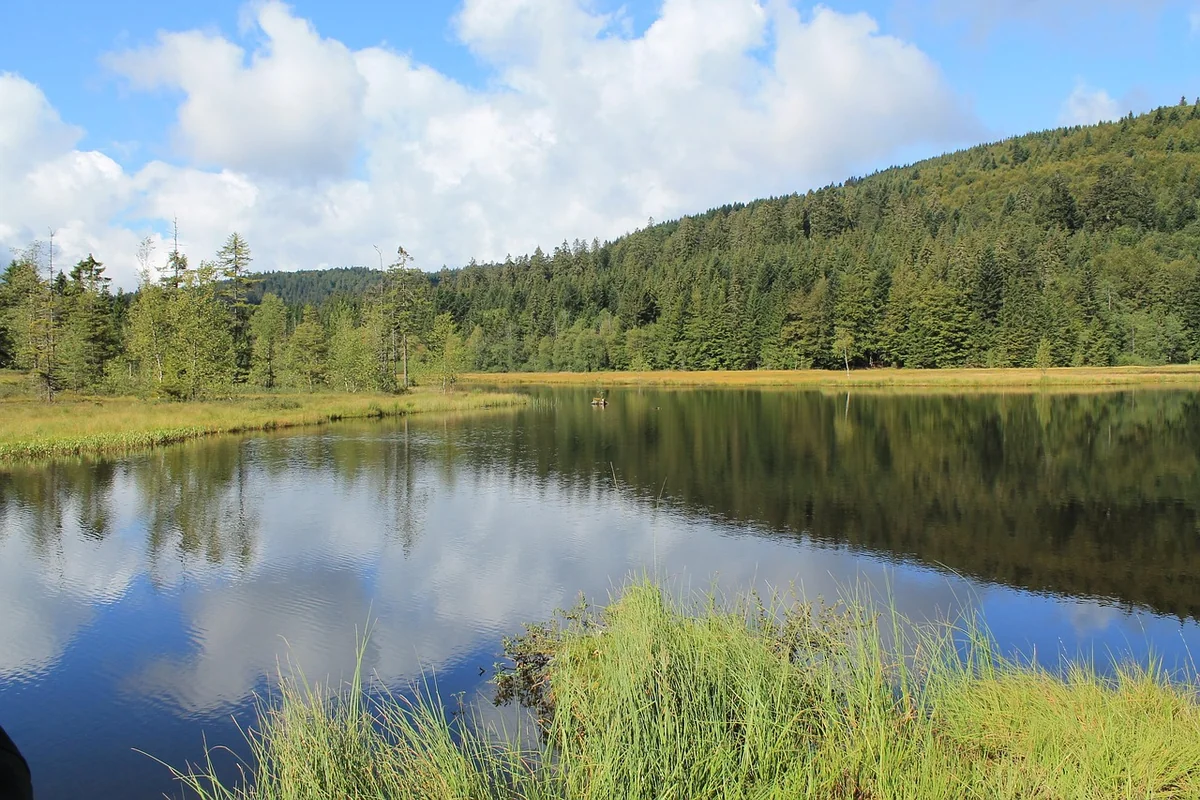 Quel parc choisir depuis l'Alsace ou la Lorraine ?