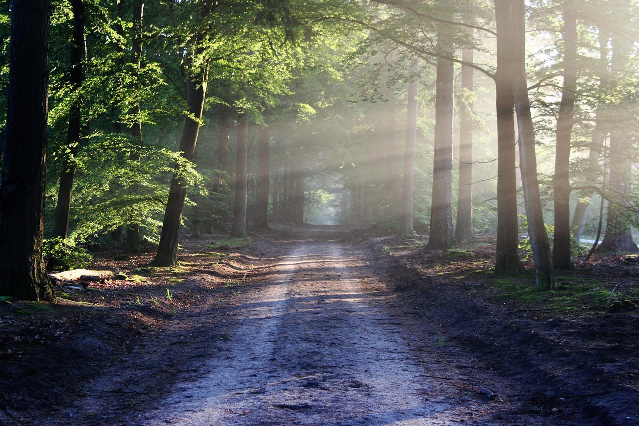Comment profiter pleinement d’un séjour en pleine nature ?
