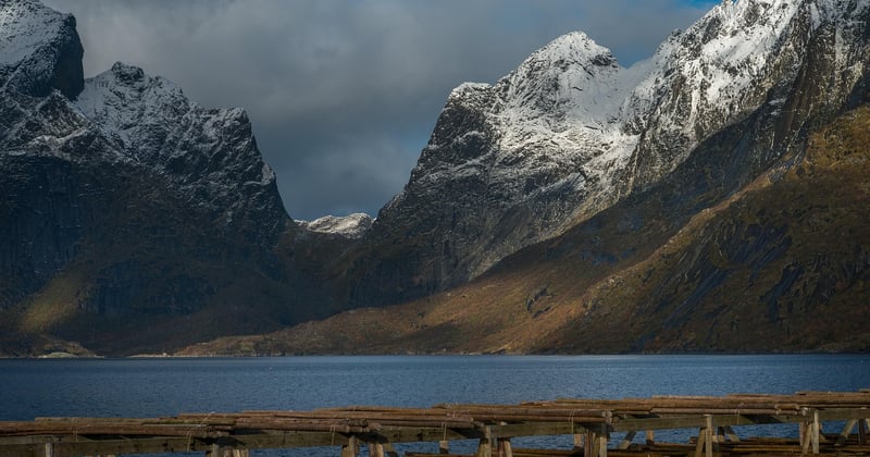 Dix jours dans les fjords de Norvège : l'itinéraire ultime entre aurores boréales et villages de pêcheurs