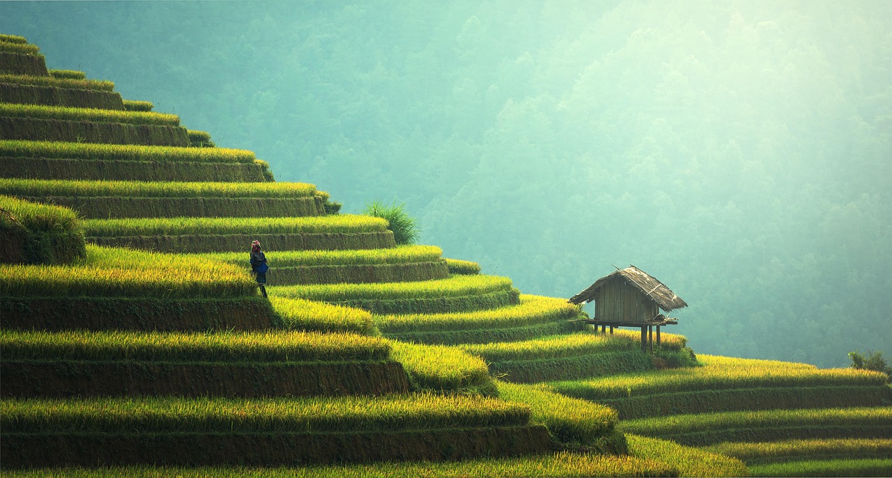 Comment voyager autrement tout en respectant l’environnement ?
