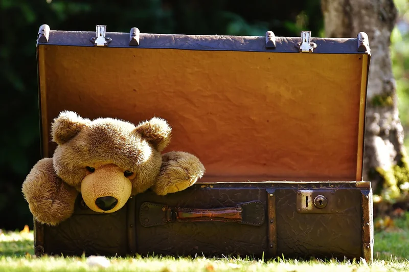 Quelle taille de valise pour 23 kg en soute ?