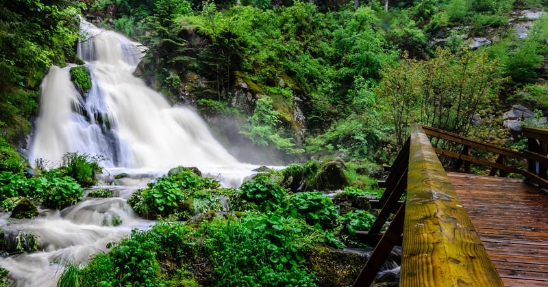 Visiter Triberg : guide complet des cascades, horloges et forêt noire